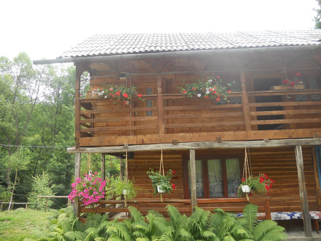 Cabana Victor Sighetu Marmaţiei 客房 照片