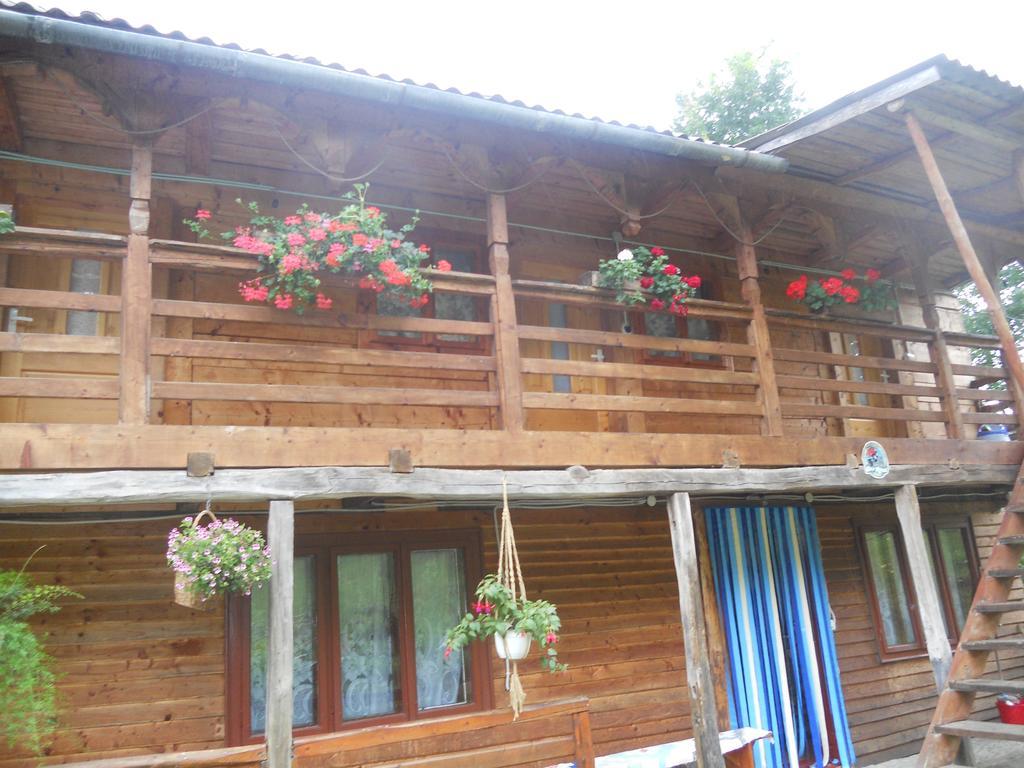 Cabana Victor Sighetu Marmaţiei 客房 照片