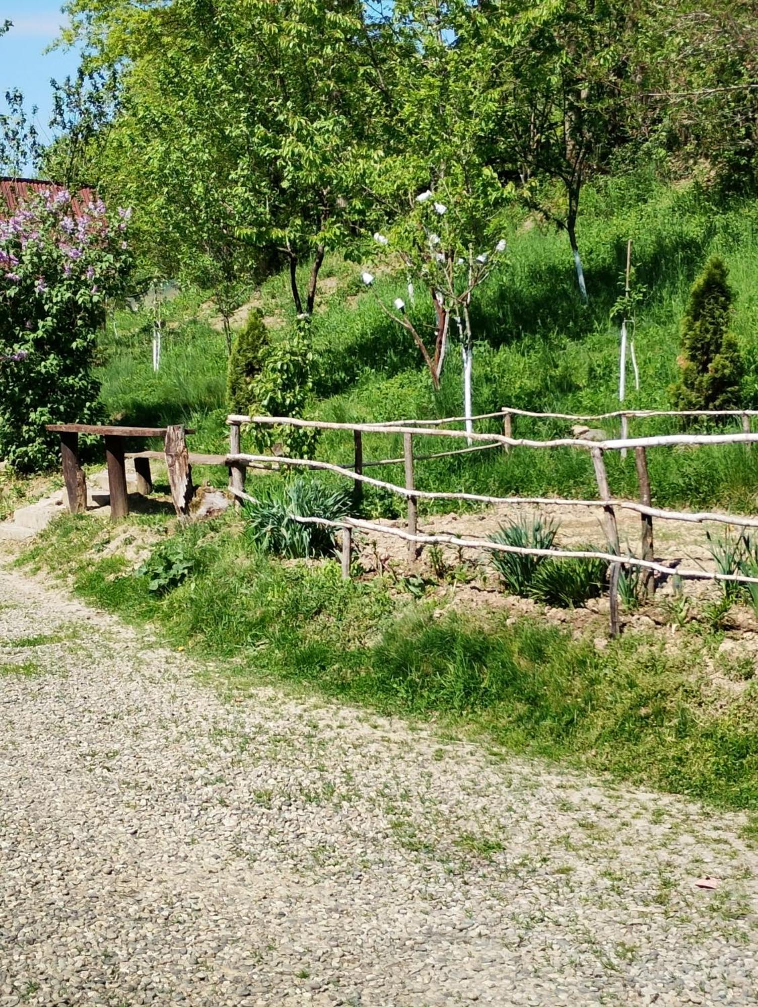 Cabana Victor Sighetu Marmaţiei 外观 照片