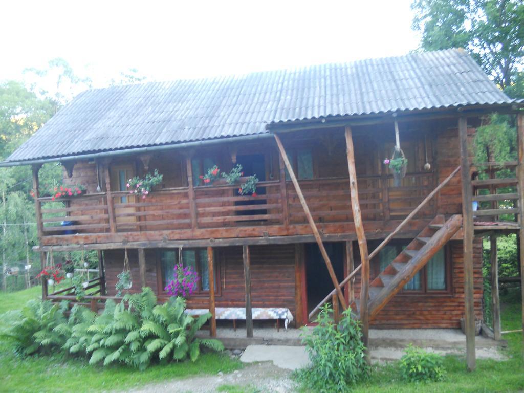 Cabana Victor Sighetu Marmaţiei 外观 照片