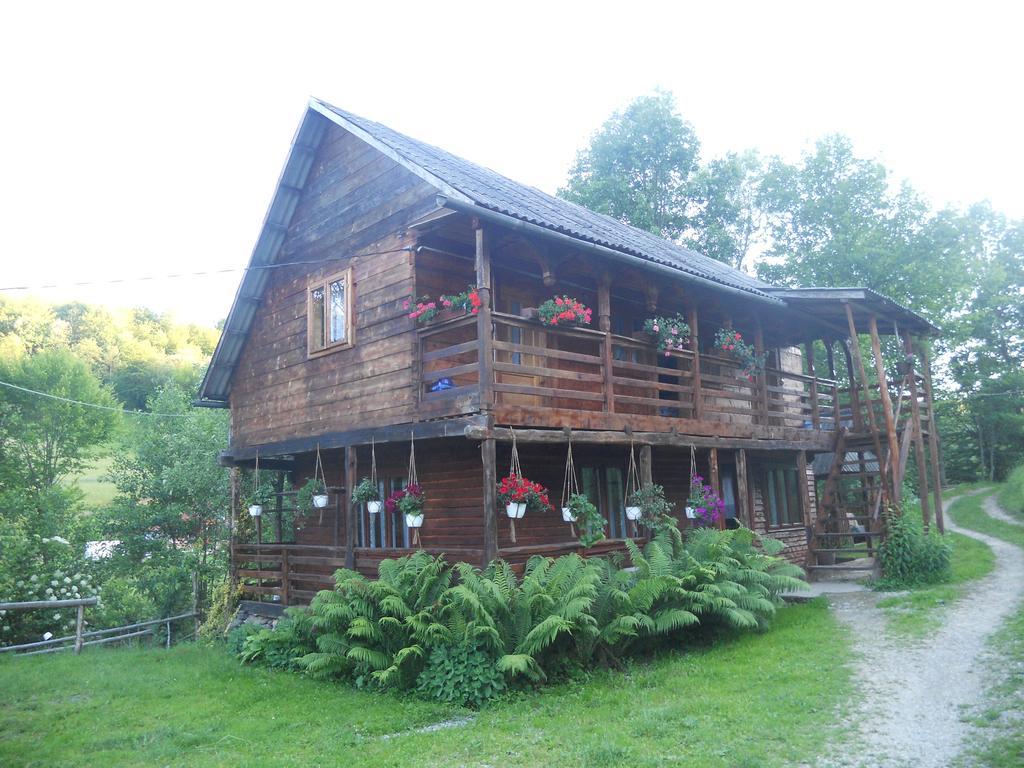 Cabana Victor Sighetu Marmaţiei 外观 照片
