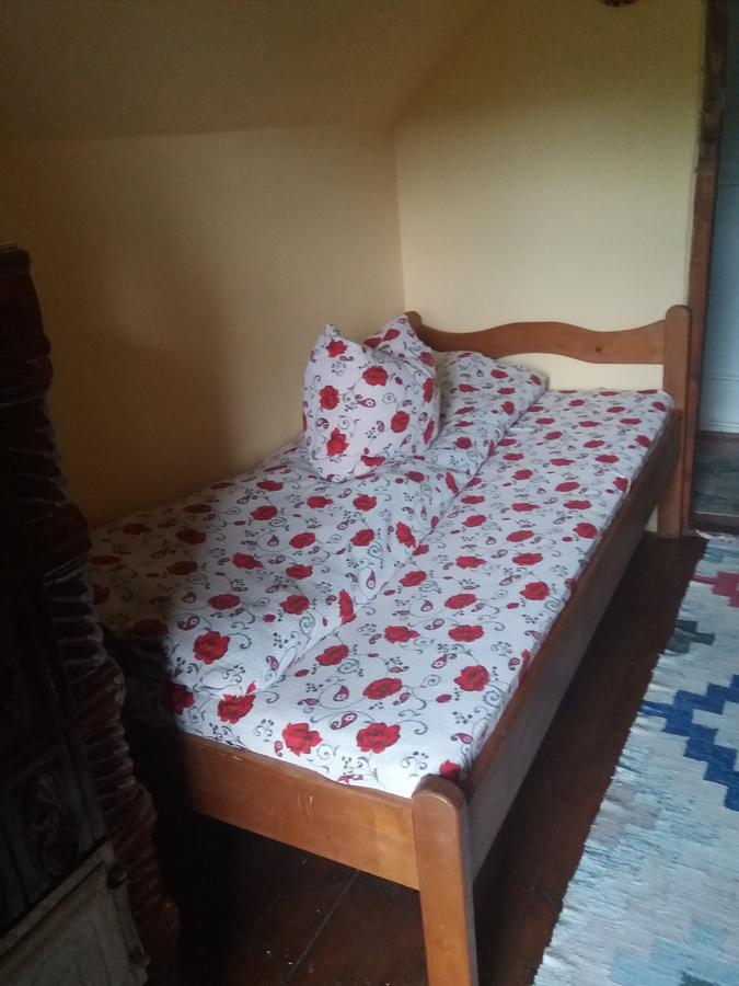 Cabana Victor Sighetu Marmaţiei 外观 照片