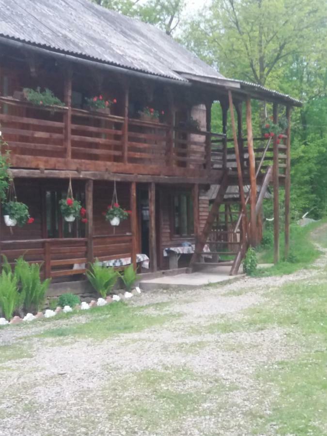 Cabana Victor Sighetu Marmaţiei 外观 照片