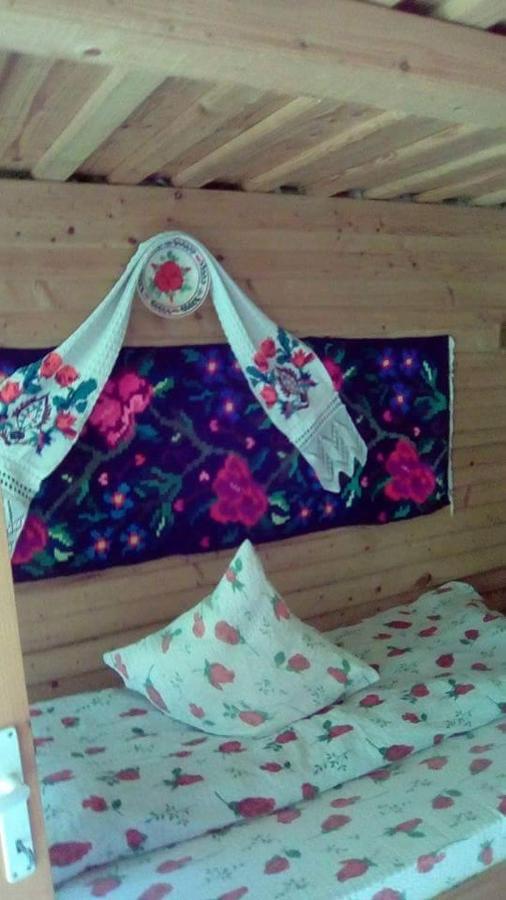 Cabana Victor Sighetu Marmaţiei 外观 照片