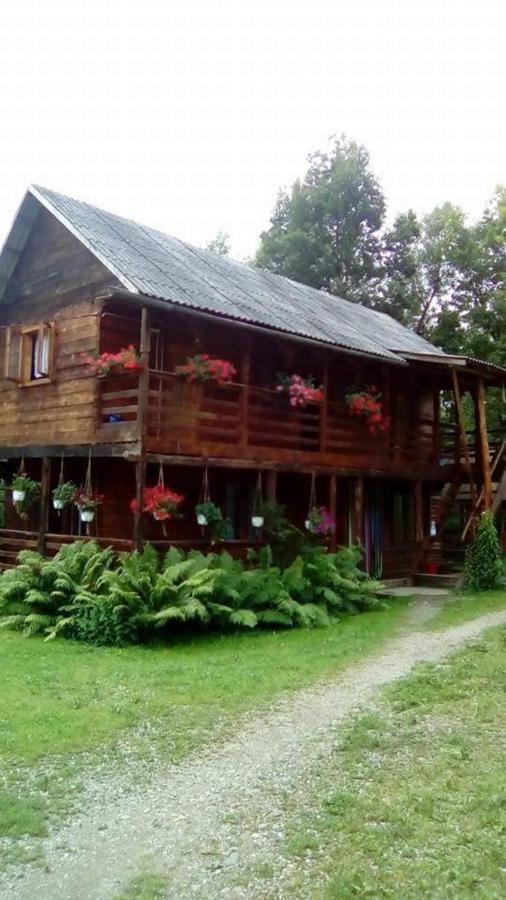 Cabana Victor Sighetu Marmaţiei 外观 照片